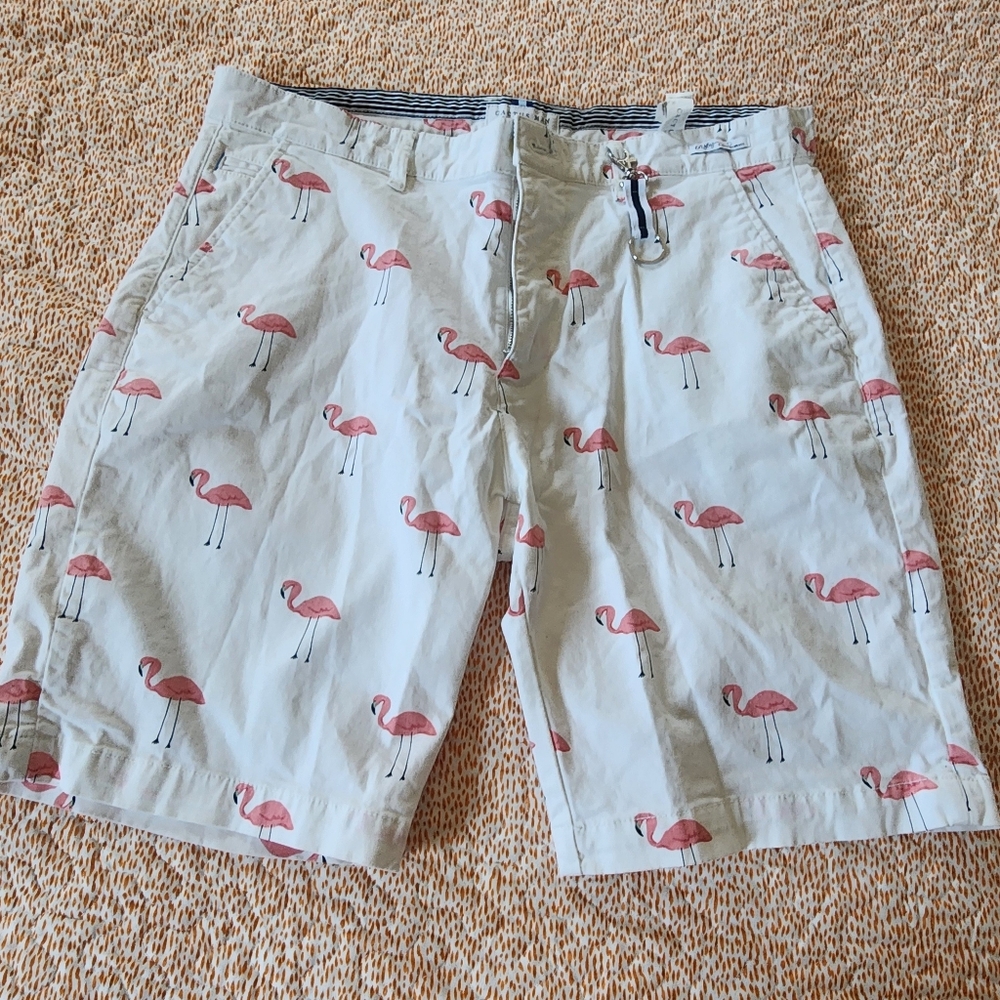 Cactus Man Flamingo Shorts Size 34
